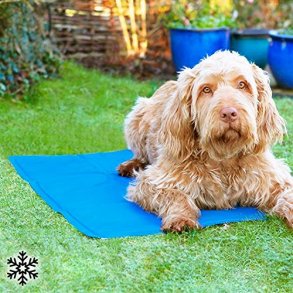 Hundemtte til nedkling 40 x 50 cm