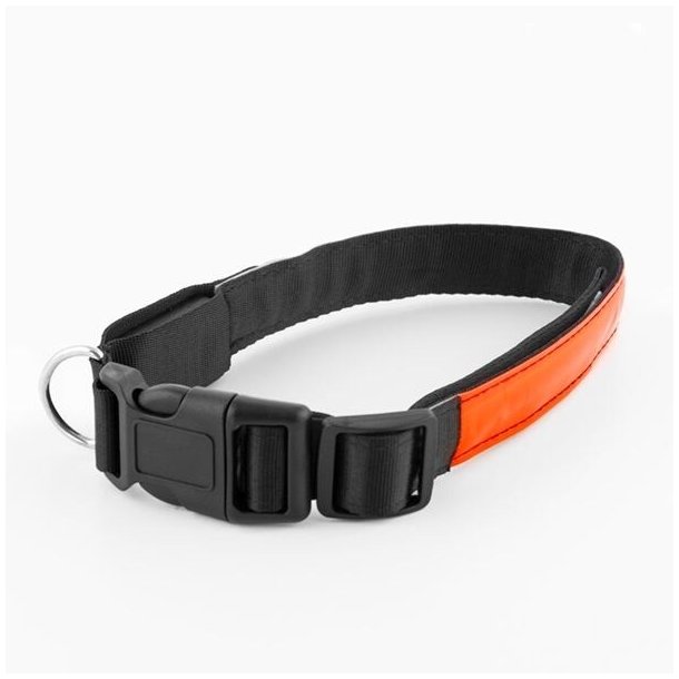 LED hundehalsb�nd � genopladeligt lys halsb�nd til hund