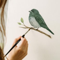 Pensler til akrylmaling