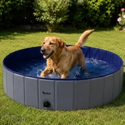 Hundepool i haven med hund der k�ler sig ned og leger i vand p� en varm sommerdag