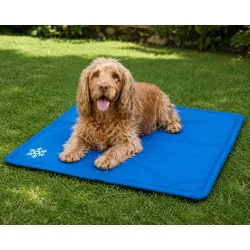 k�lende hundem�tte i brug hund ligger p� k�lem�tte i gr�s