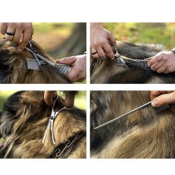 Hunde grooming s�t