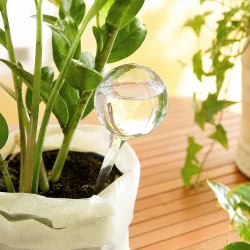 Makrobillede af selvvandingskugle i klart glas monteret i potteplante, der viser glassets detaljer og automatisk vanding til planter.