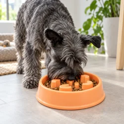 Hund spiser t�rfoder fra orange slowfeeder hundesk�l i hjemmet