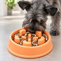 Slowfeeder til hund med t�rfoder fordelt mellem sk�lens indvendige forhindringer