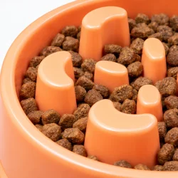 N�rbillede af slowfeeder hundesk�l med forh�jede foderforhindringer
