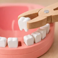 tandl�ges�t i tr� med 24 dele detaljer af redskaber