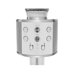 Karaoke mikrofon til brn