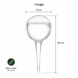 Selvvandingskugle i klart glas med m�l 24 x 8 cm vist p� hvid baggrund &ndash; dimensioner p� automatisk plantevander til potteplanter.